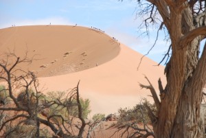 Dünenwanderung