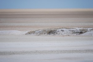 DSC_0275 Die Etosha Pfanne