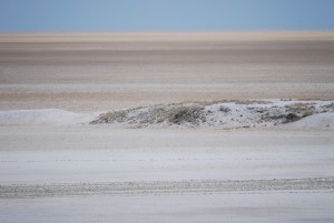 Die Etosha Pfanne